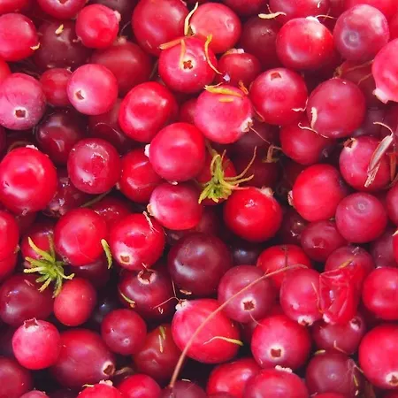 Luotsihotelli - Arctic Lighthouse מלון