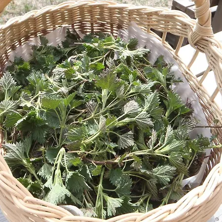 Luotsihotelli - Arctic Lighthouse מלון