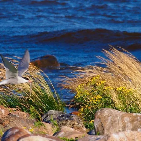 Luotsihotelli - Arctic Lighthouse *