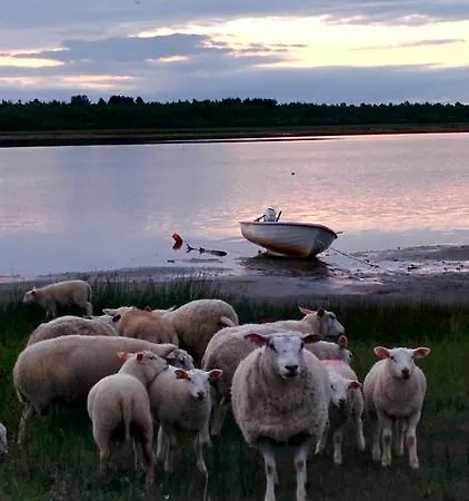 מלון Luotsihotelli - Arctic Lighthouse היילואוטו