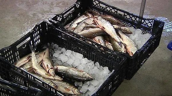 Luotsihotelli - Arctic Lighthouse