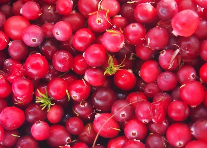 Luotsihotelli - Arctic Lighthouse Hotel