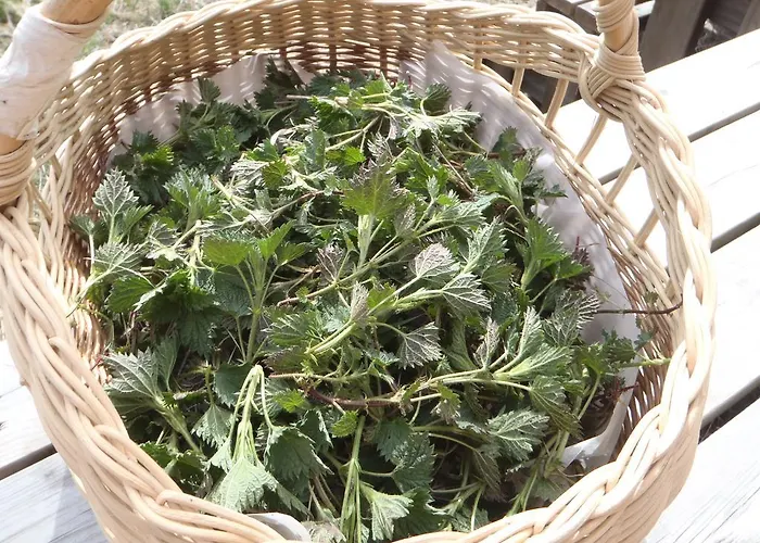 Luotsihotelli - Arctic Lighthouse Hotel