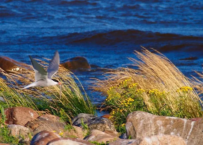 Luotsihotelli - Arctic Lighthouse *
